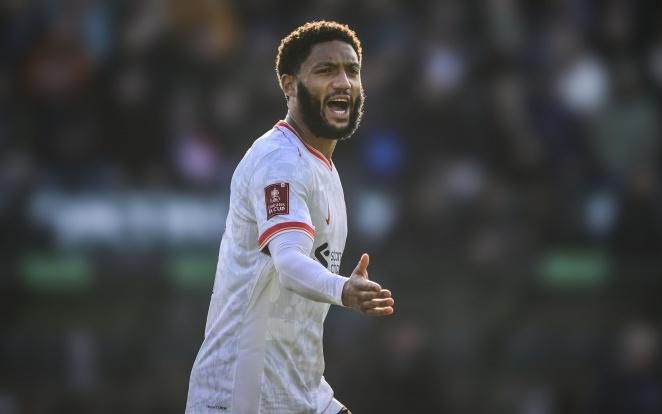 证明他的成 证明他的成